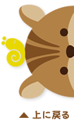 PAGETOP